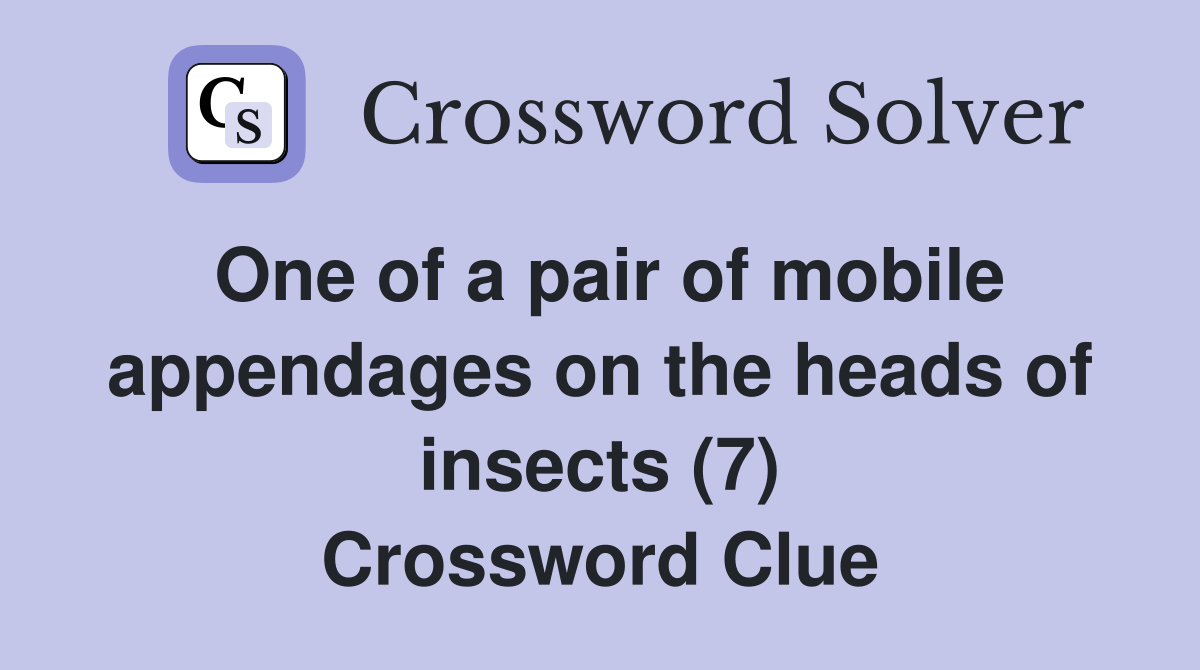 One of a pair of mobile appendages on the heads of insects (7) Crossword Clue