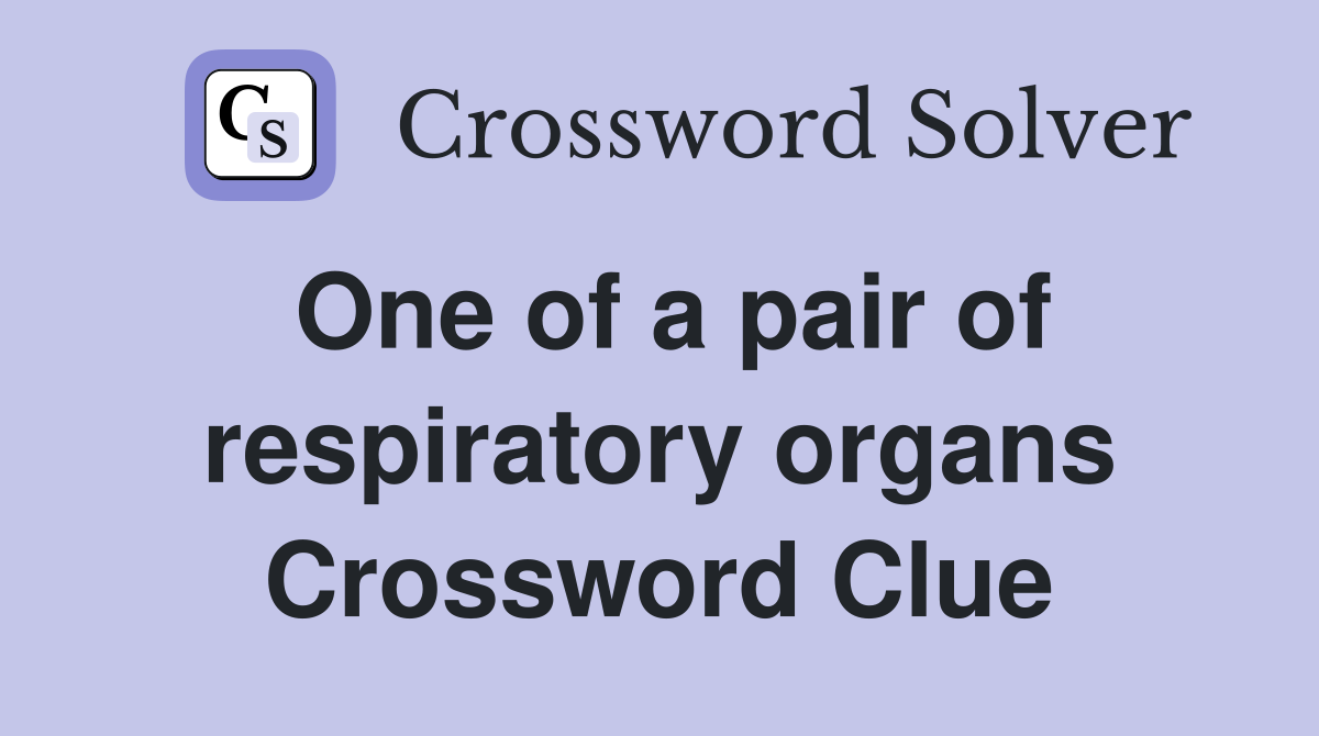 One of a pair of respiratory organs Crossword Clue