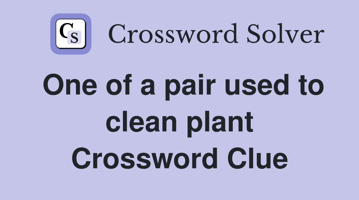One of a pair used to clean plant Crossword Clue
