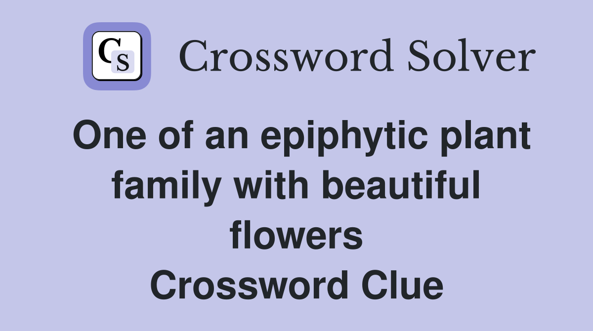 One of an epiphytic plant family with beautiful flowers Crossword Clue