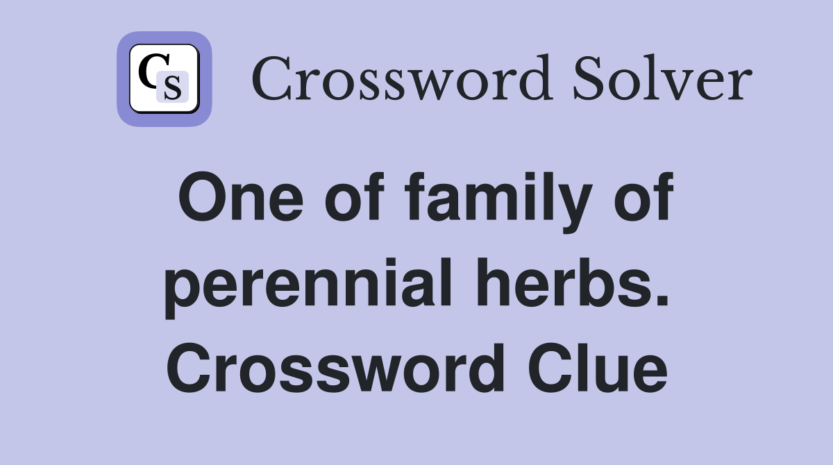 One of family of perennial herbs. Crossword Clue