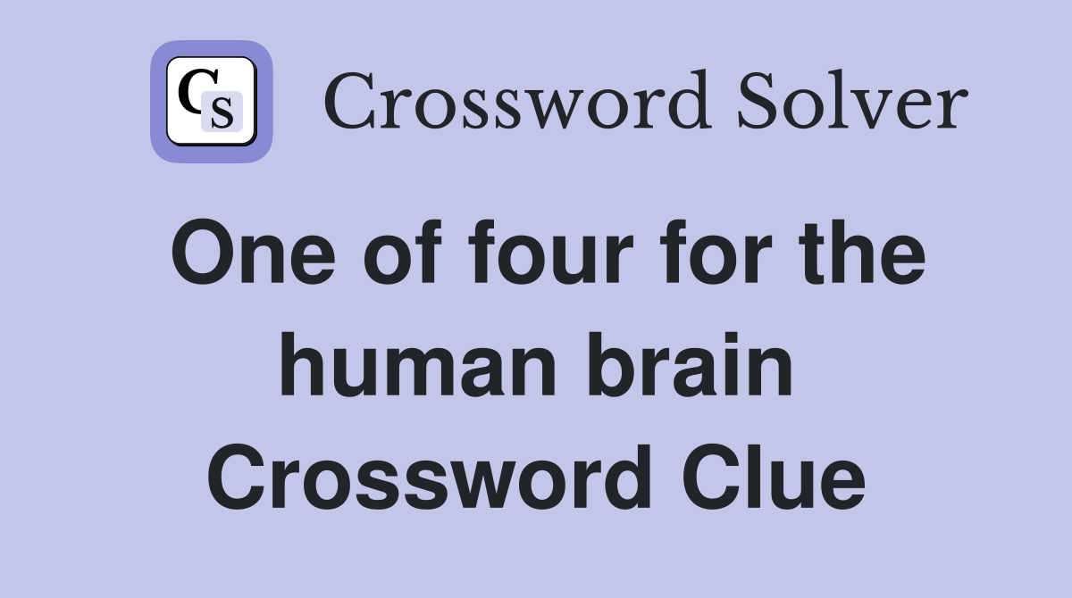 One of four for the human brain Crossword Clue