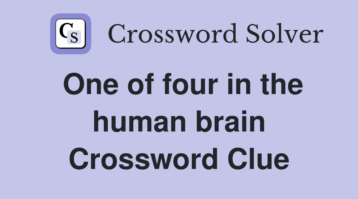 One of four in the human brain Crossword Clue