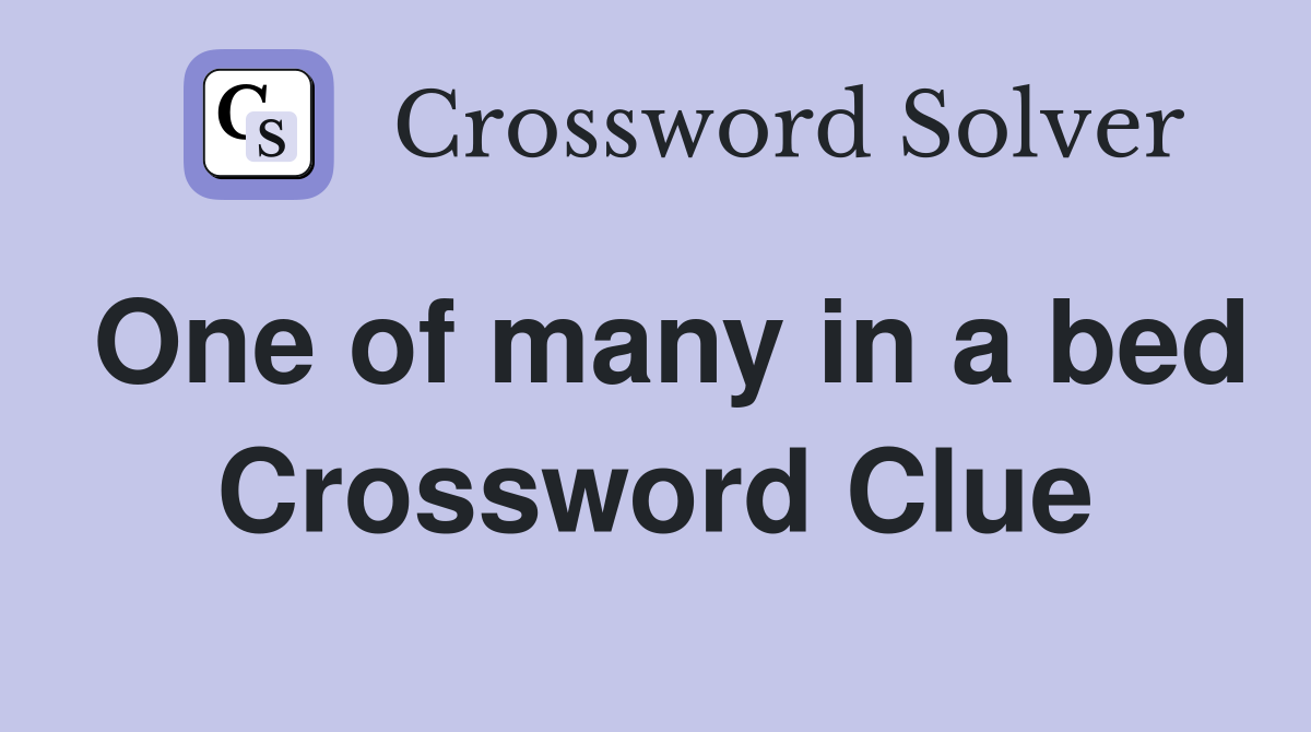 One of many in a bed Crossword Clue