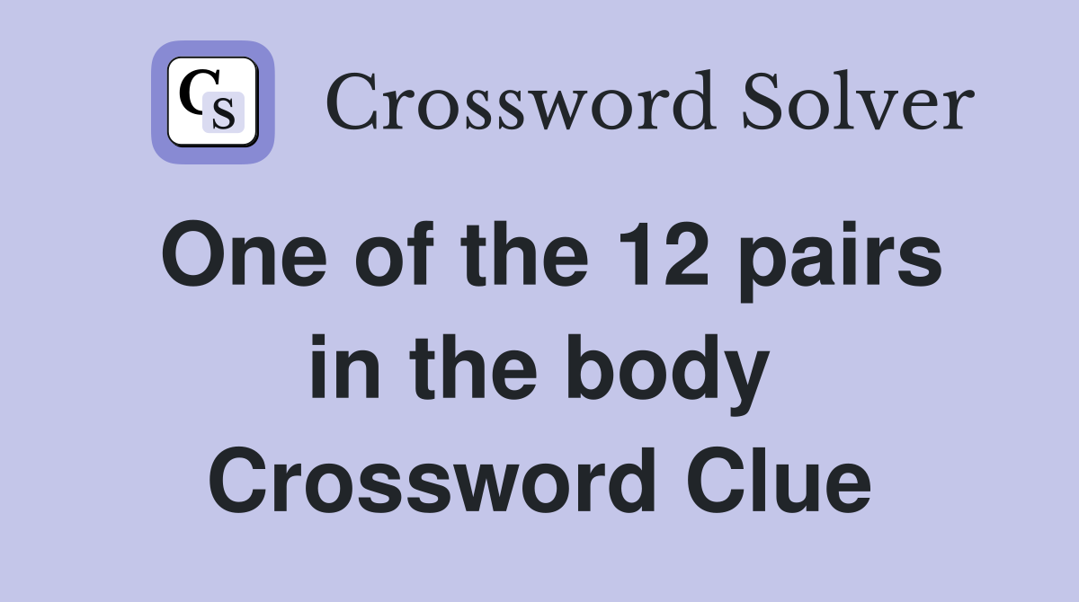 One of the 12 pairs in the body Crossword Clue