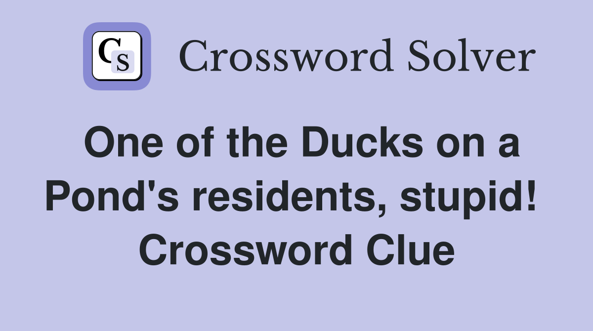 One of the Ducks on a Pond's residents, stupid!  Crossword Clue
