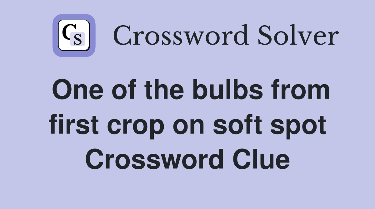 One of the bulbs from first crop on soft spot Crossword Clue