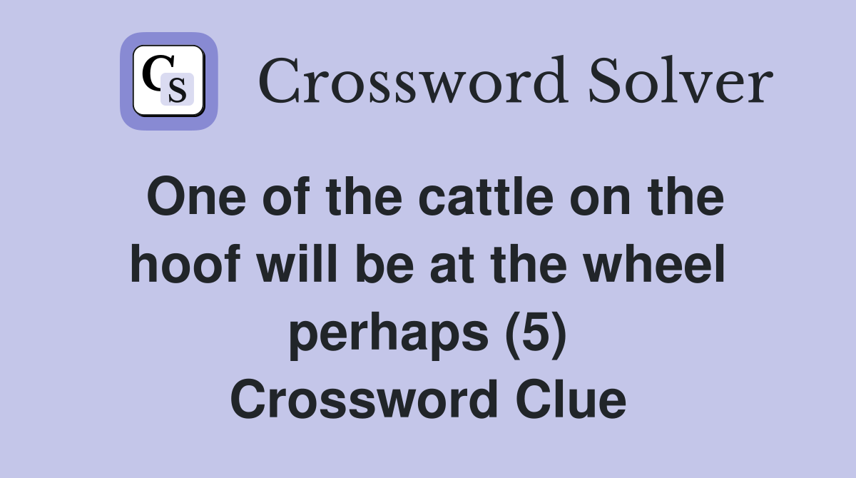 One of the cattle on the hoof will be at the wheel perhaps (5) Crossword Clue