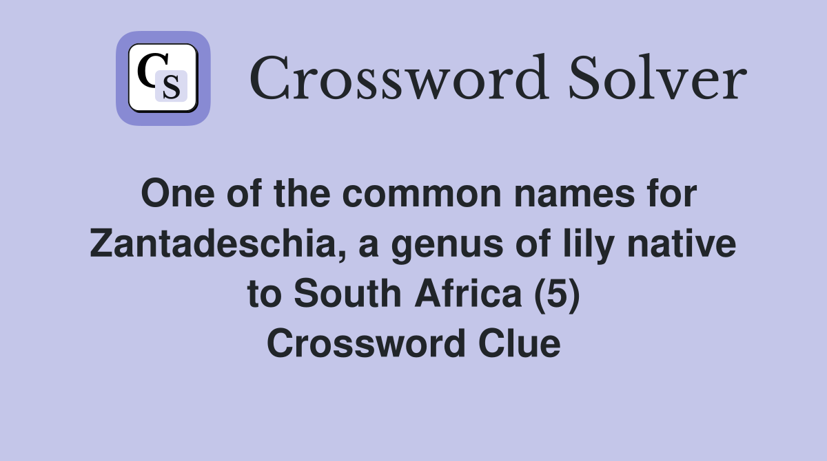 One of the common names for Zantadeschia, a genus of lily native to South Africa (5) Crossword Clue