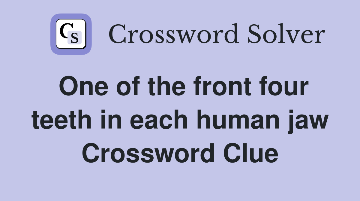 One of the front four teeth in each human jaw Crossword Clue