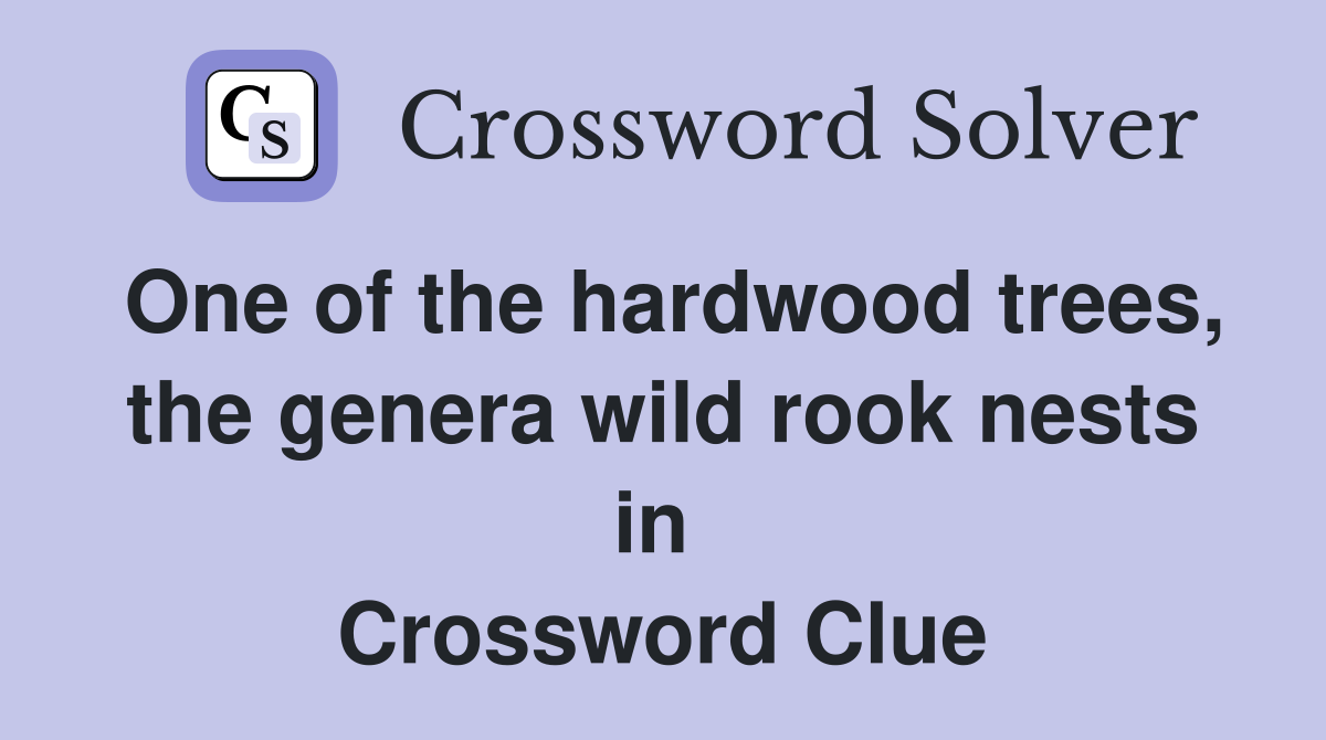 One of the hardwood trees, the genera wild rook nests in  Crossword Clue