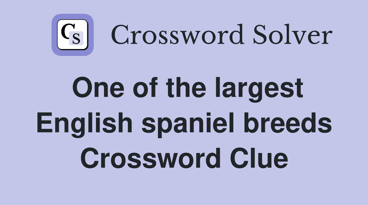 One of the largest English spaniel breeds Crossword Clue