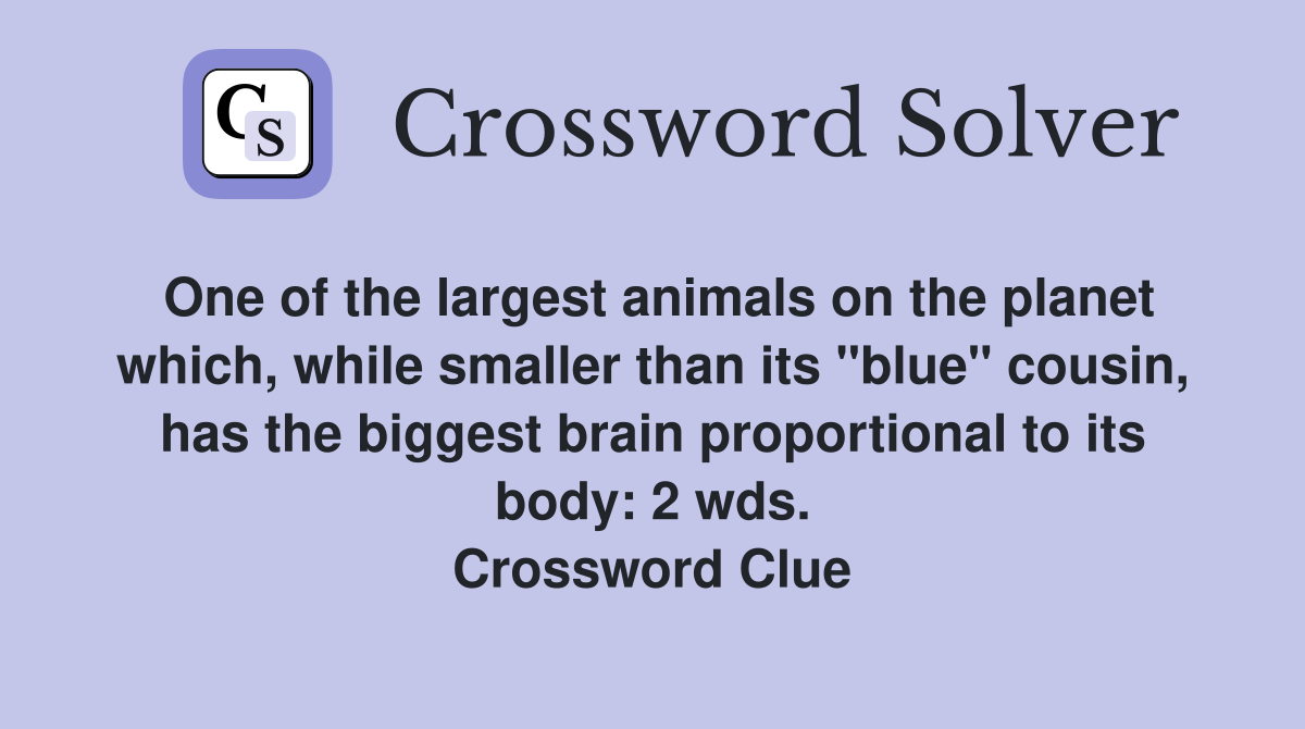 One of the largest animals on the planet which, while smaller than its "blue" cousin, has the biggest brain proportional to its body: 2 wds. Crossword Clue