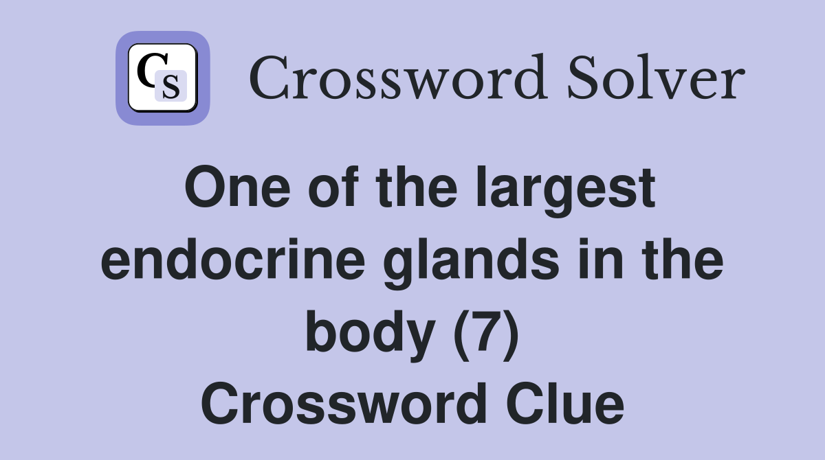 One of the largest endocrine glands in the body (7) Crossword Clue
