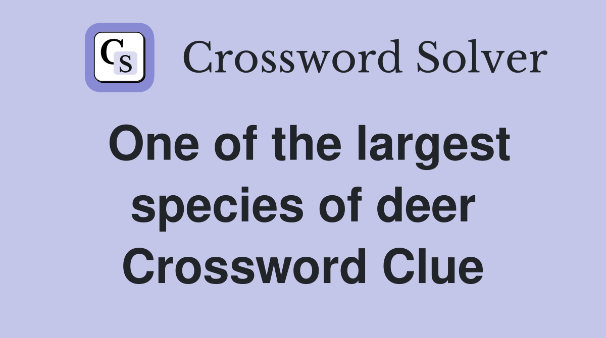 One of the largest species of deer Crossword Clue