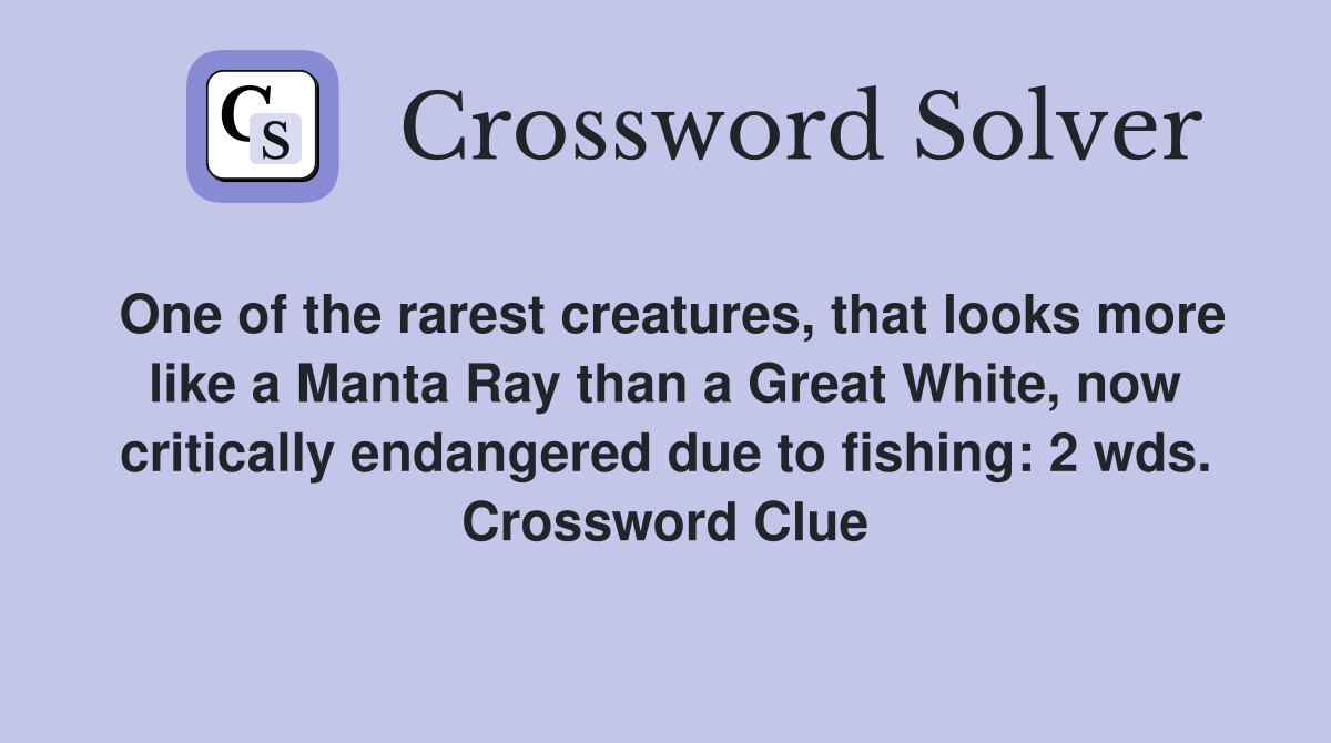 One of the rarest creatures, that looks more like a Manta Ray than a Great White, now critically endangered due to fishing: 2 wds. Crossword Clue