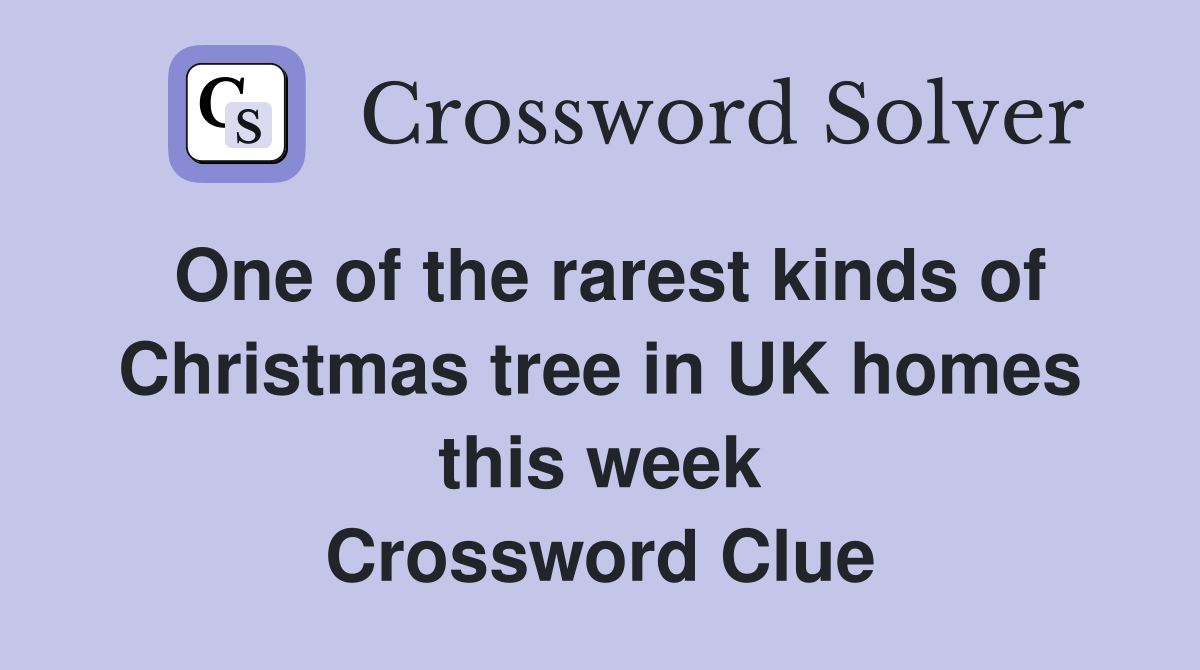 One of the rarest kinds of Christmas tree in UK homes this week Crossword Clue