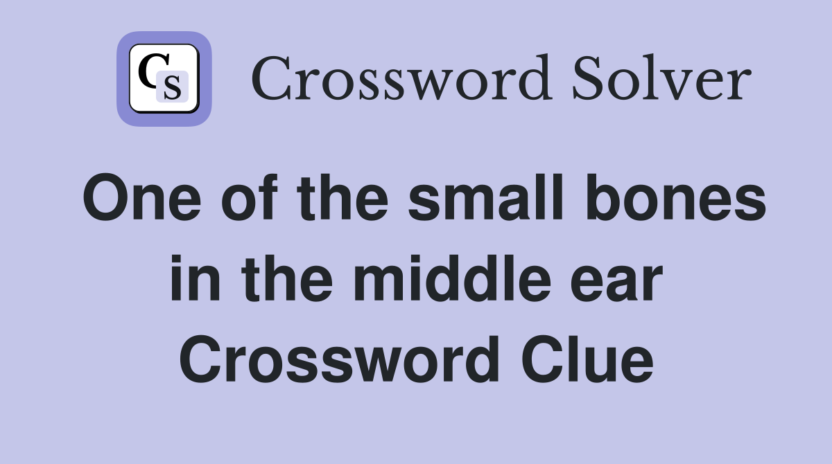 One of the small bones in the middle ear Crossword Clue