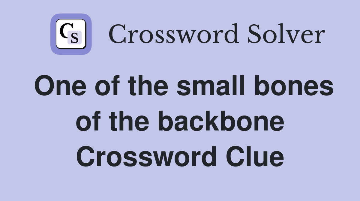 One of the small bones of the backbone Crossword Clue