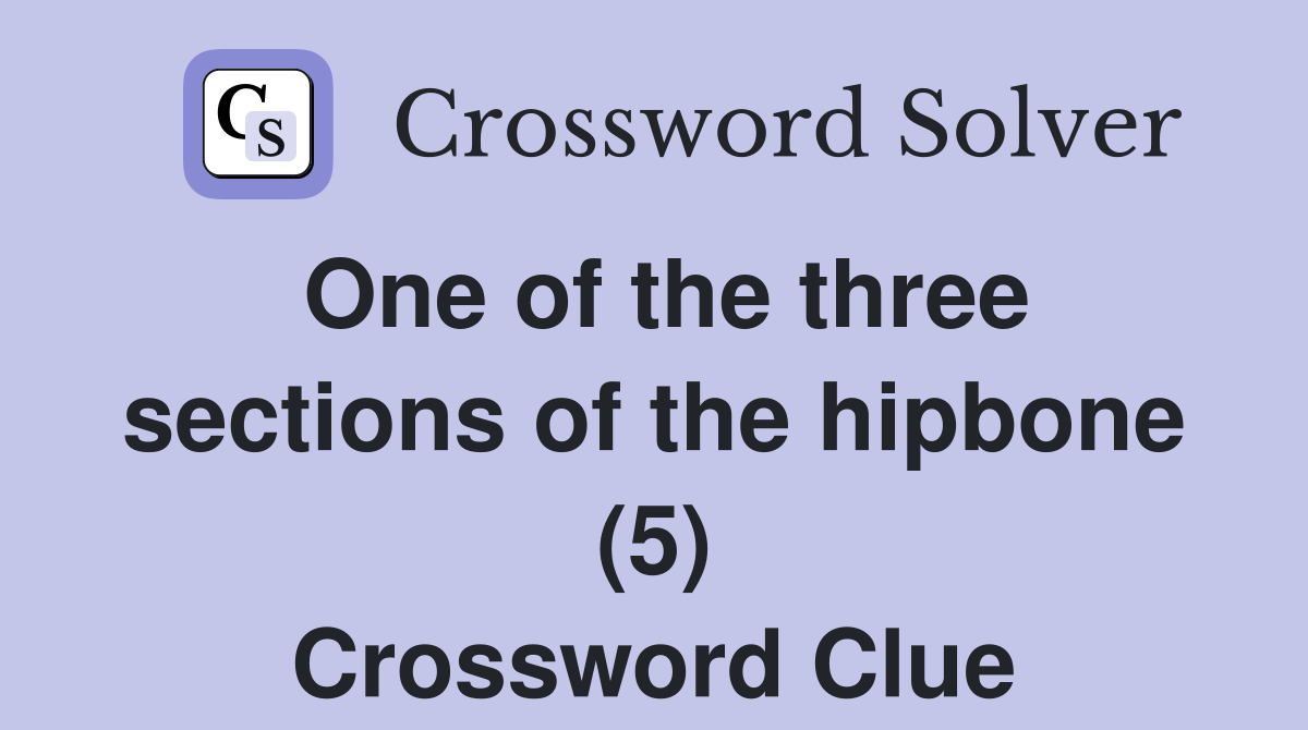 One of the three sections of the hipbone (5) Crossword Clue