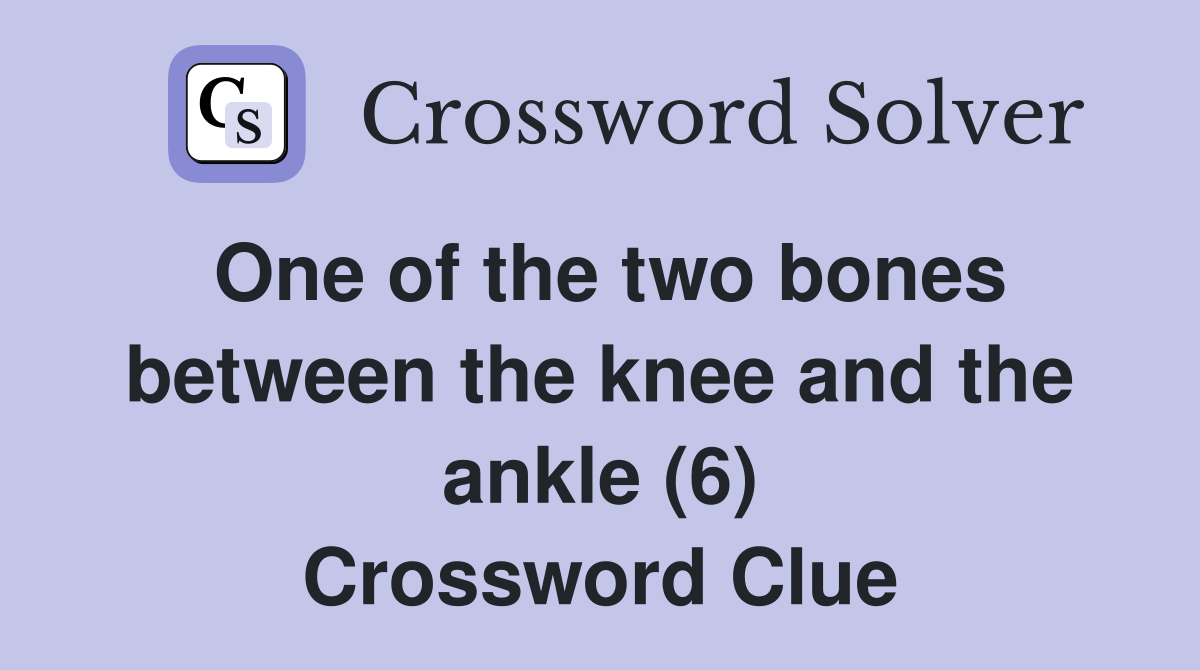 One of the two bones between the knee and the ankle (6) Crossword Clue