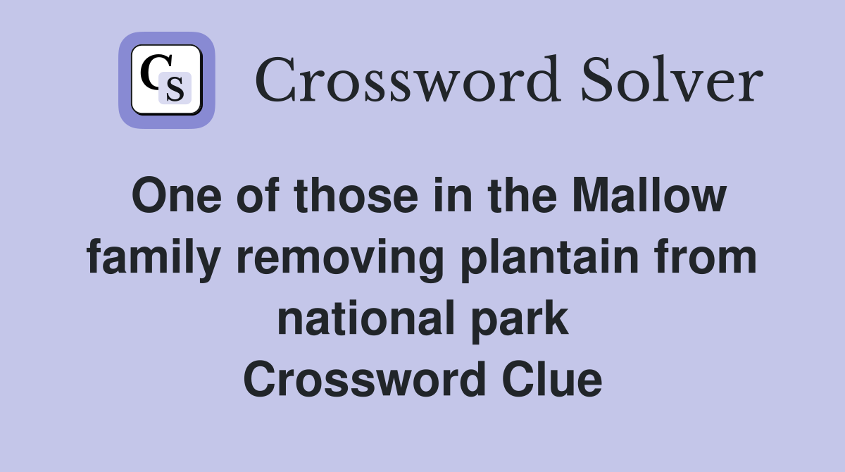 One of those in the Mallow family removing plantain from national park Crossword Clue