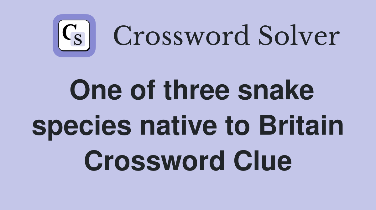 One of three snake species native to Britain Crossword Clue