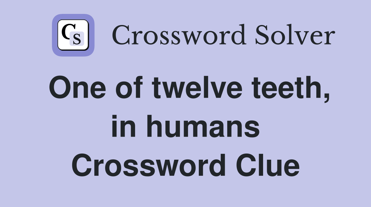 One of twelve teeth, in humans Crossword Clue