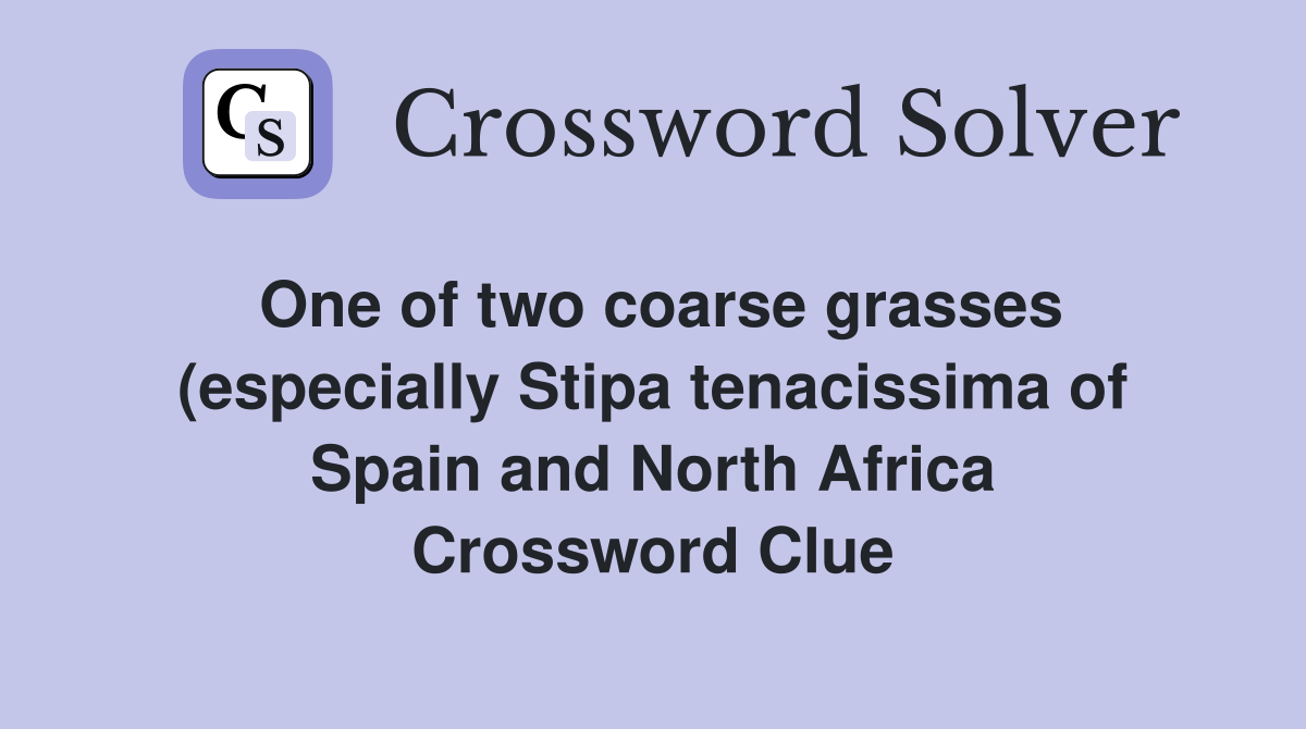 One of two coarse grasses (especially Stipa tenacissima of Spain and One of two coarse grasses (especially Stipa tenacissima of Spain and