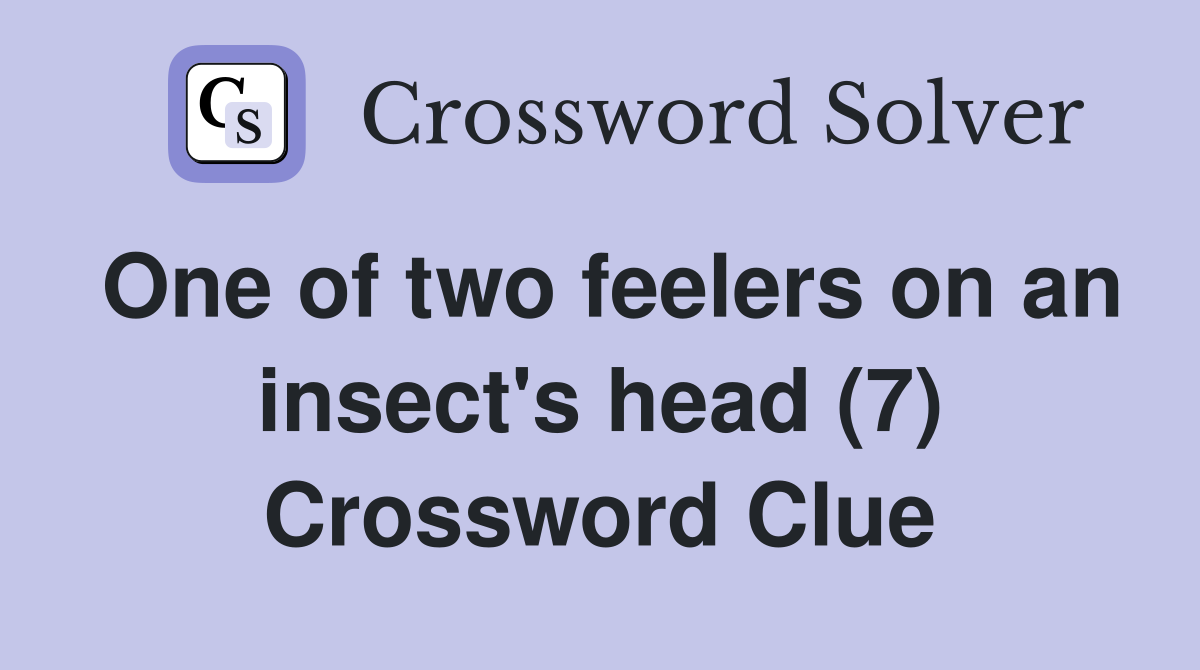 One of two feelers on an insect's head (7) Crossword Clue