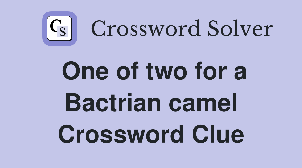 One of two for a Bactrian camel Crossword Clue