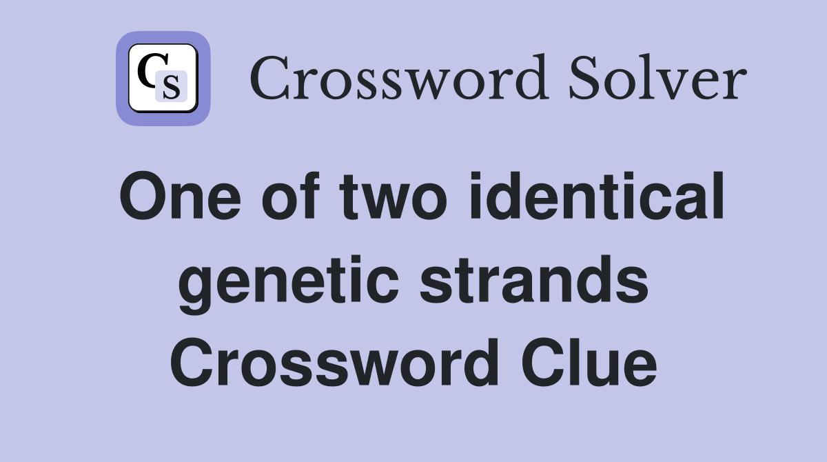One of two identical genetic strands Crossword Clue