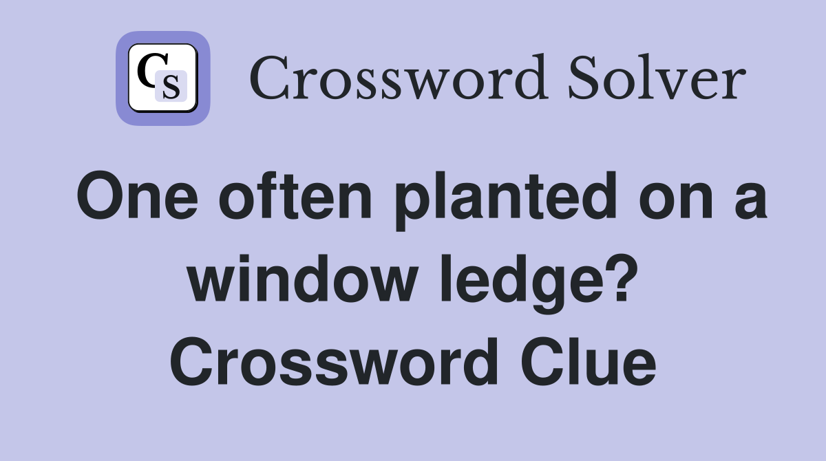One often planted on a window ledge? Crossword Clue
