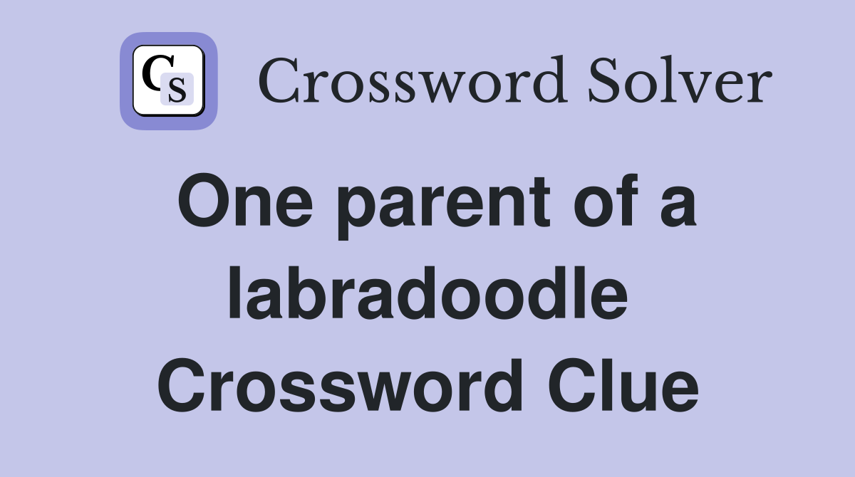 One parent of a labradoodle Crossword Clue