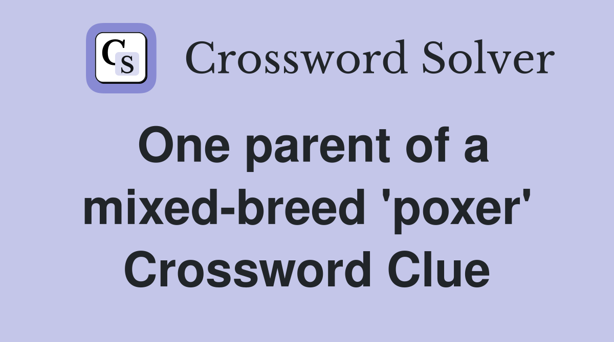 One parent of a mixed-breed 'poxer' Crossword Clue