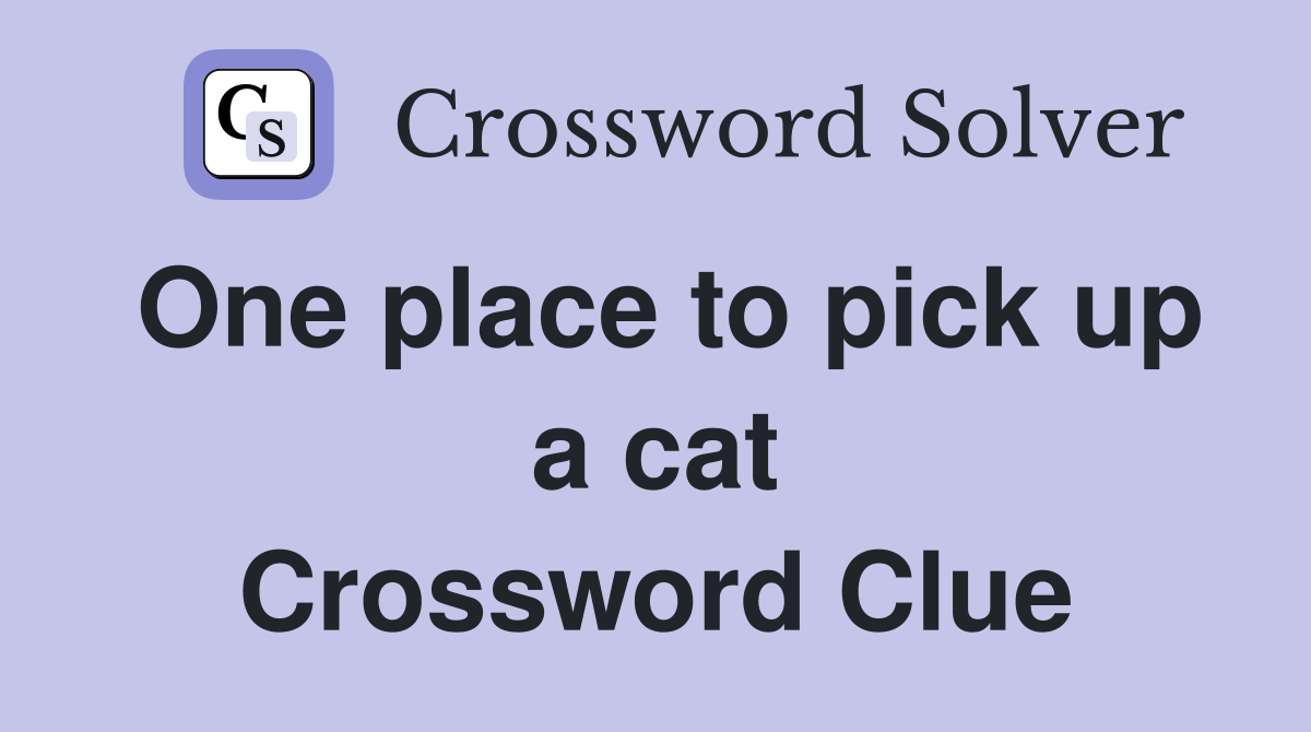 One place to pick up a cat Crossword Clue