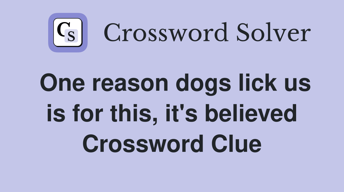 One reason dogs lick us is for this, it's believed Crossword Clue