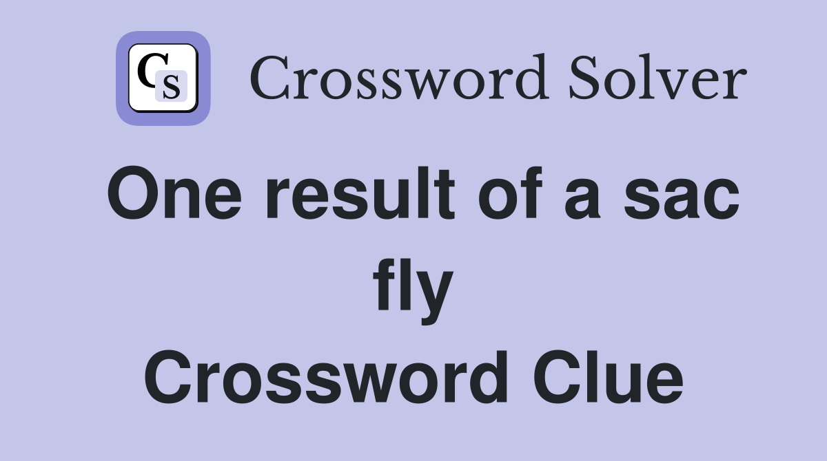 One result of a sac fly Crossword Clue