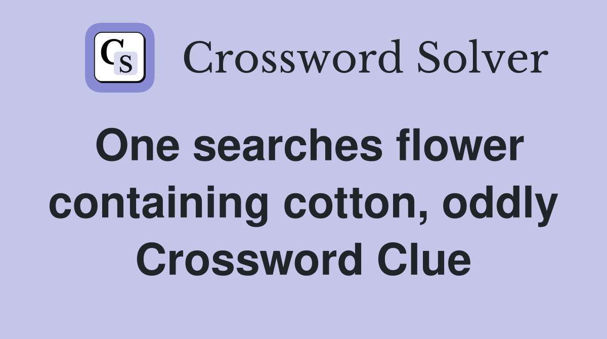 One searches flower containing cotton, oddly Crossword Clue