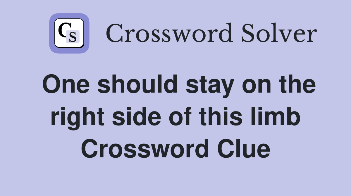 One should stay on the right side of this limb Crossword Clue