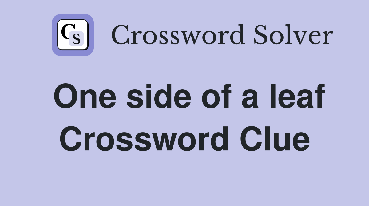 One side of a leaf Crossword Clue