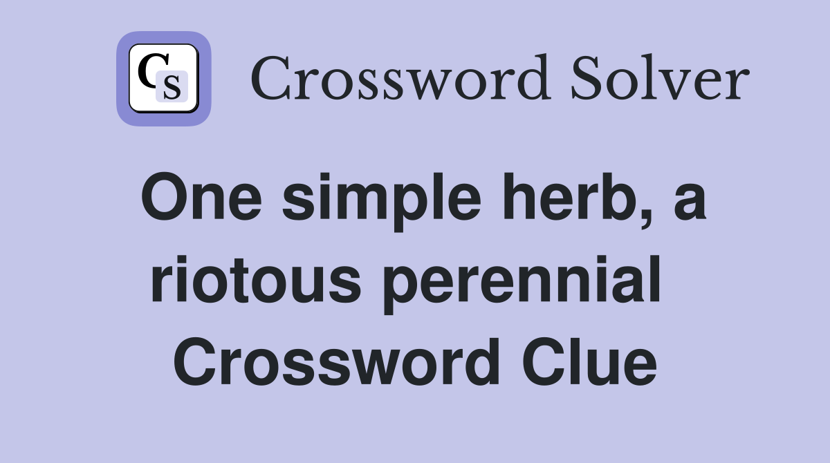 One simple herb, a riotous perennial  Crossword Clue