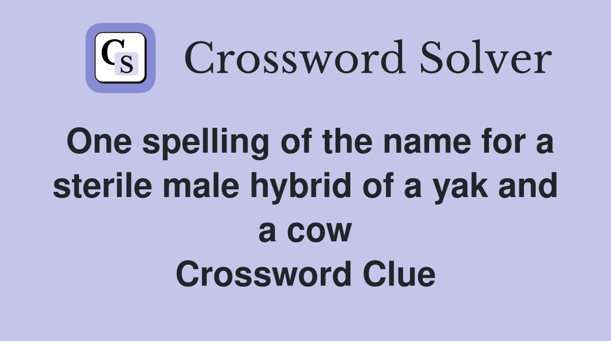 One spelling of the name for a sterile male hybrid of a yak and a cow Crossword Clue