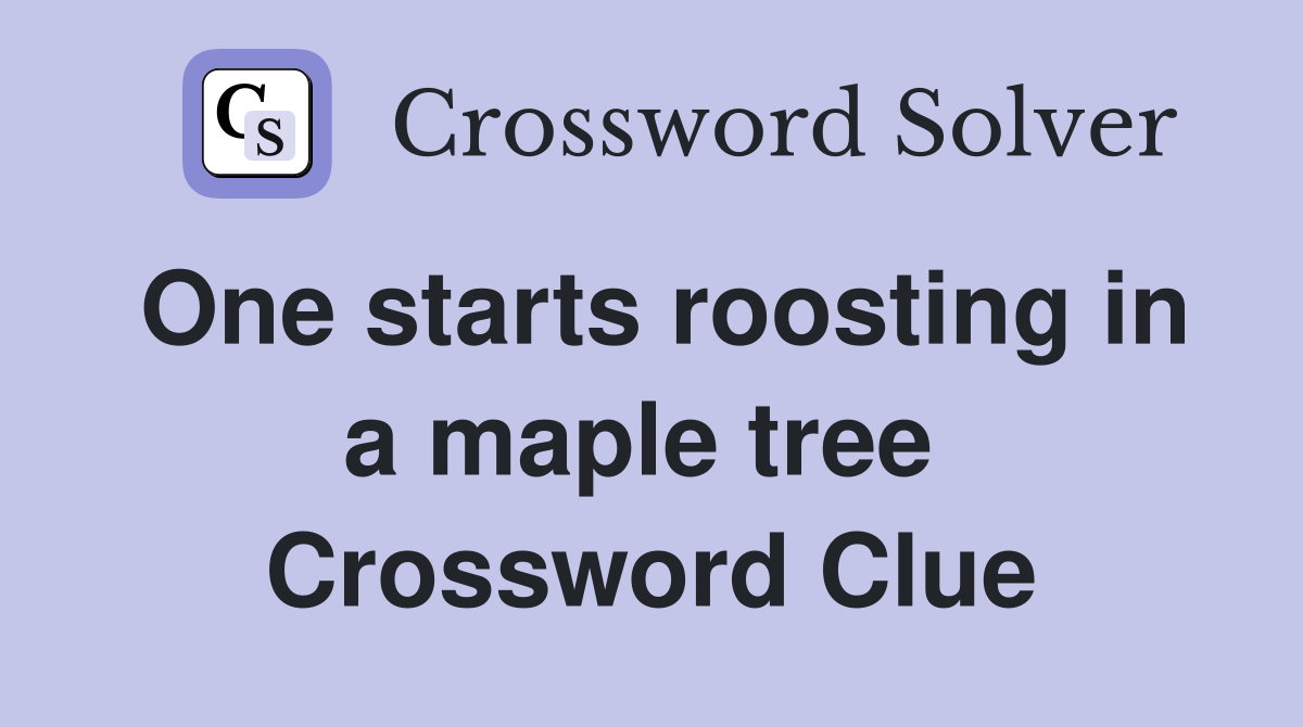 One starts roosting in a maple tree  Crossword Clue