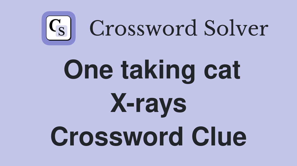 One taking cat X-rays Crossword Clue