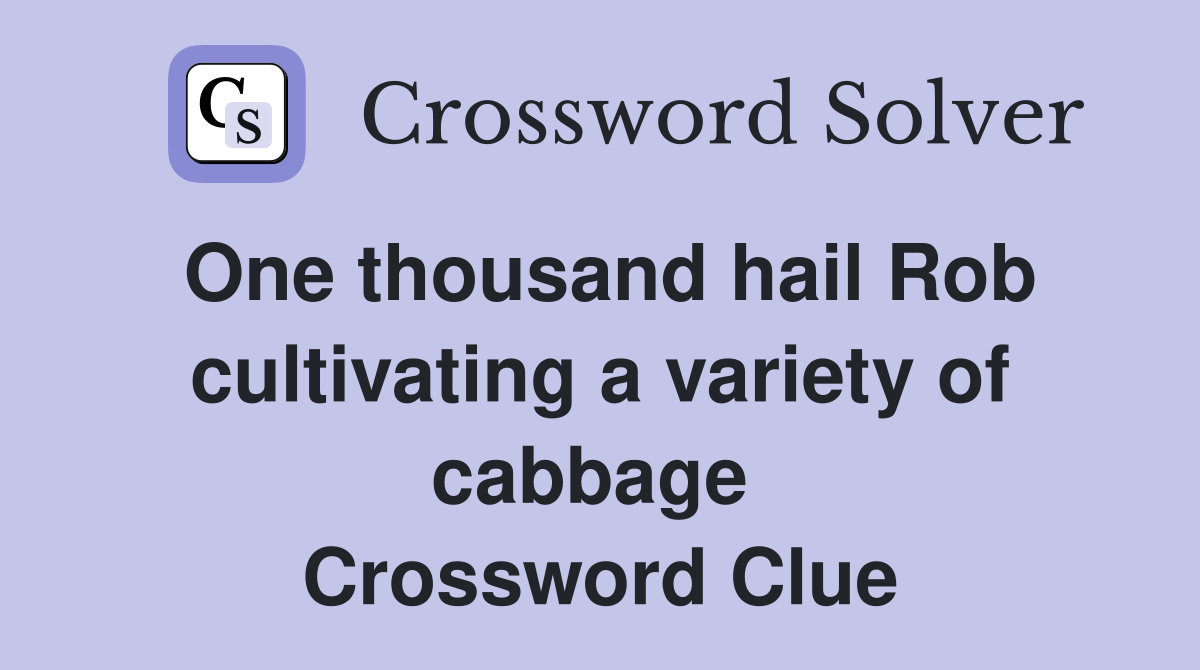 One thousand hail Rob cultivating a variety of cabbage  Crossword Clue