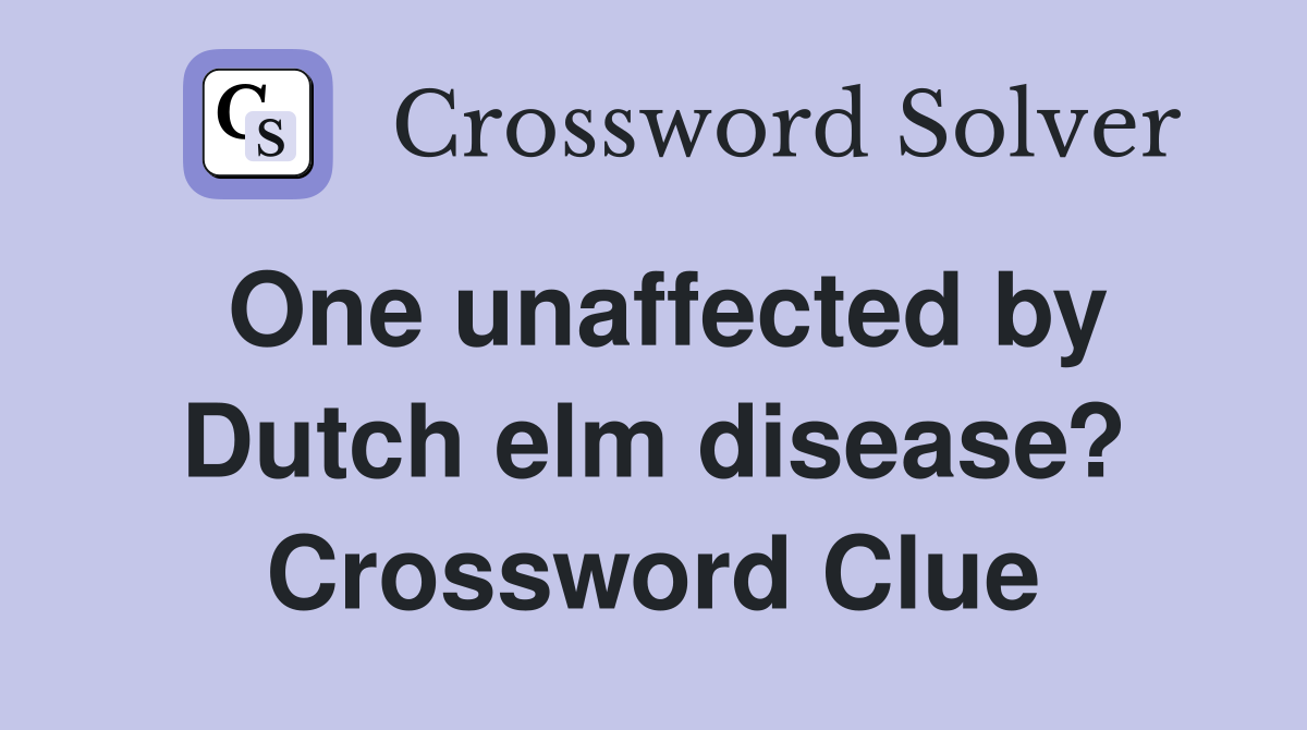 One unaffected by Dutch elm disease? Crossword Clue