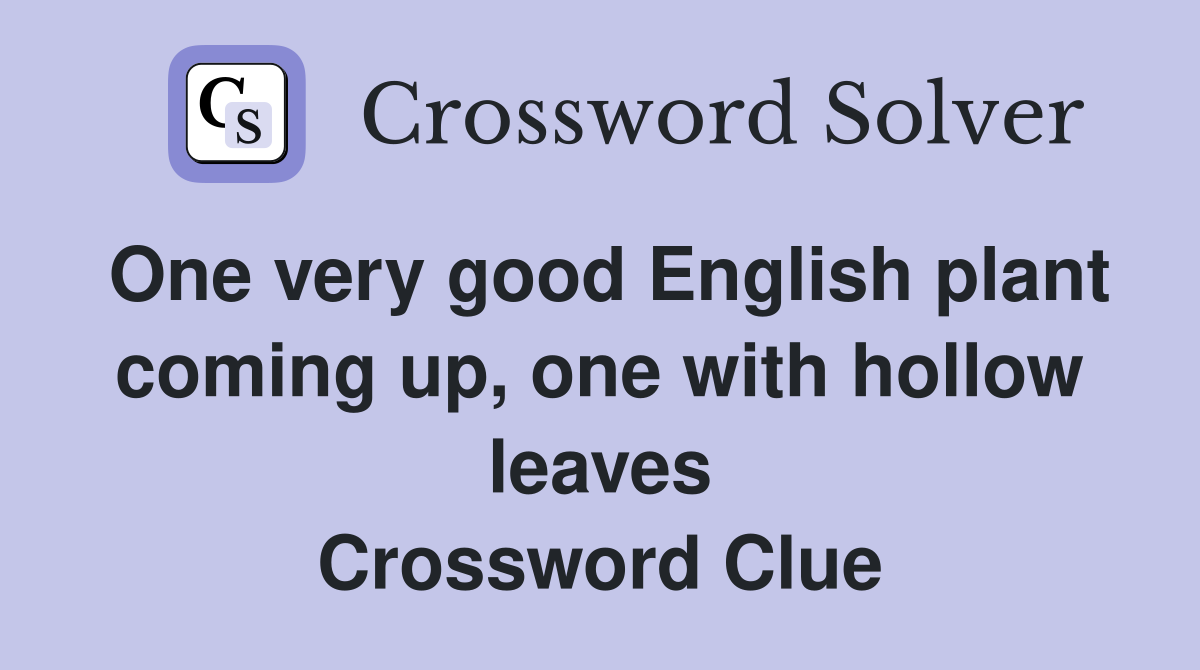 One very good English plant coming up, one with hollow leaves Crossword Clue