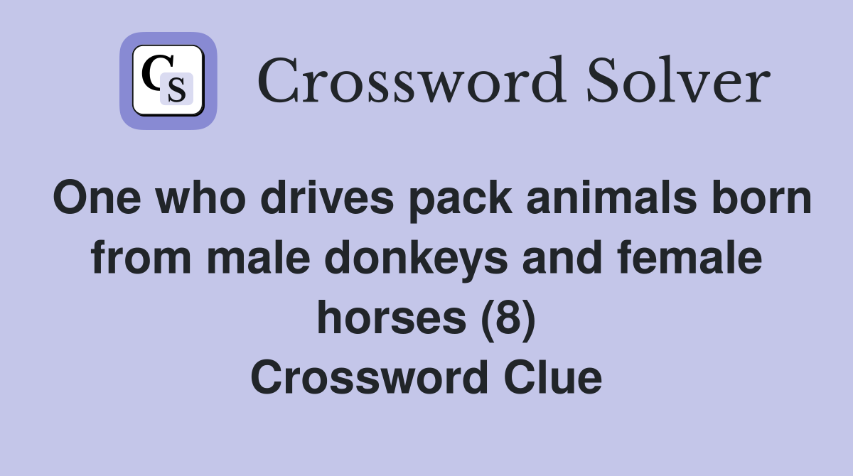 One who drives pack animals born from male donkeys and female horses (8) Crossword Clue