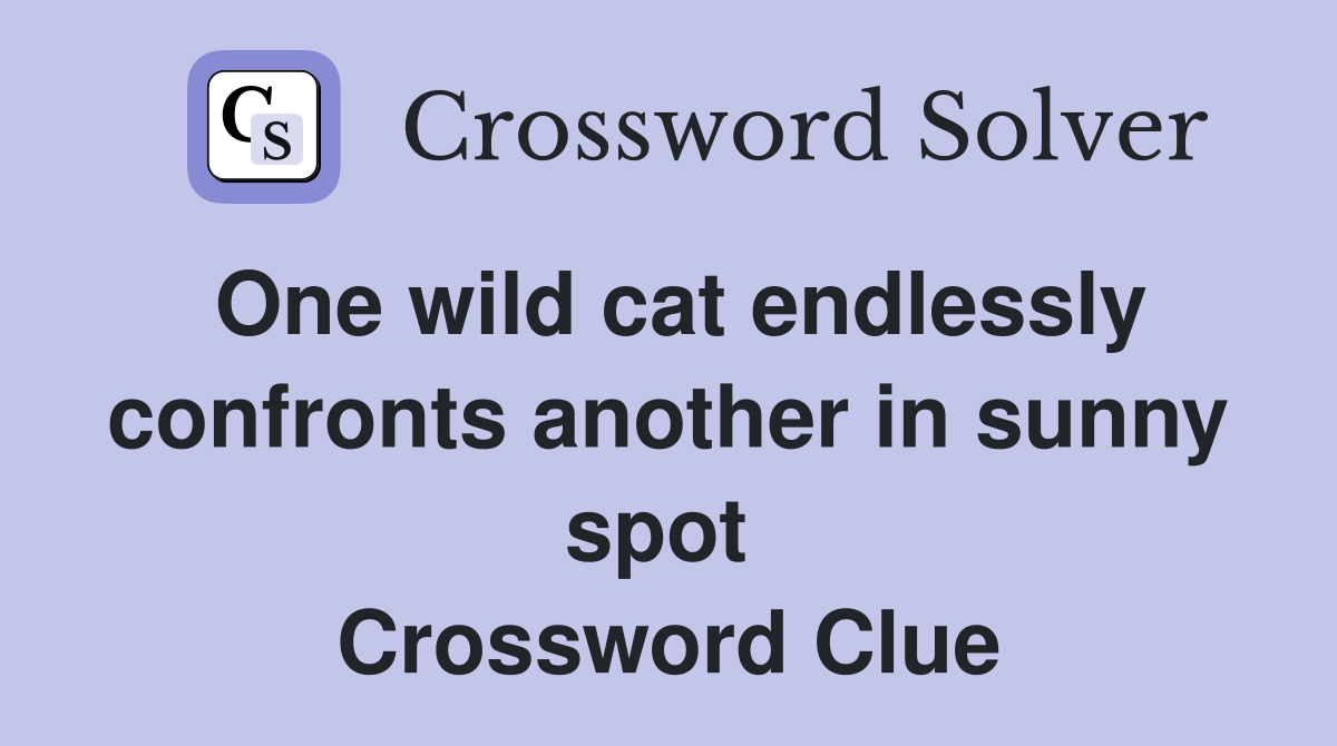 One wild cat endlessly confronts another in sunny spot  Crossword Clue